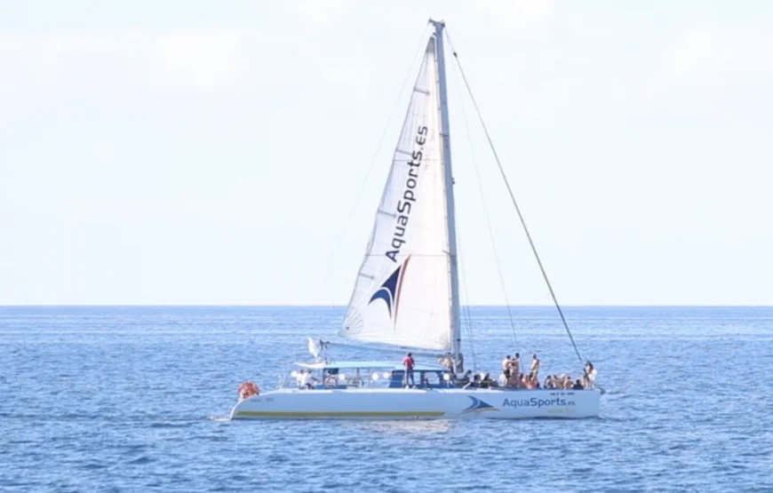 Catamaran5-870x555.png