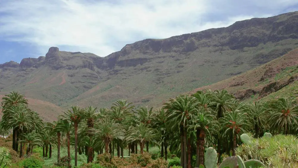 Gran-Canaria-Gestern-und-Heute-1-1