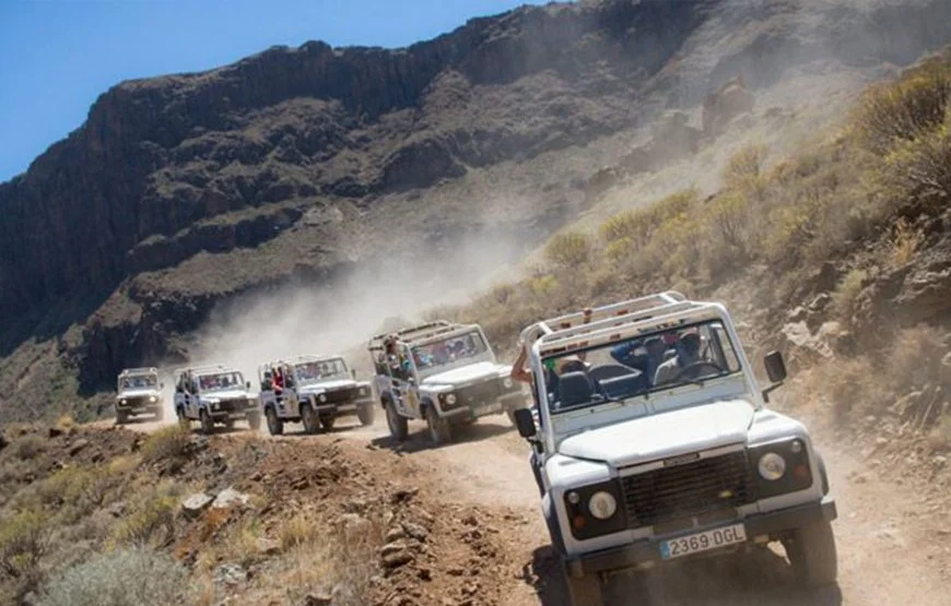 JeepSafari-870x555.jpg