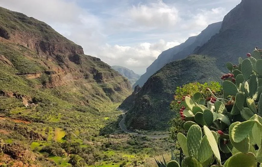 barranco-de-guayadeque-870x555.jpg